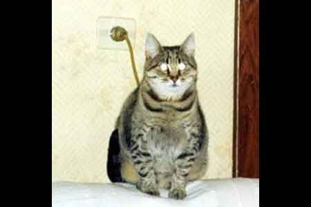 12 imagenes graciosas con doble sentido - Taringa!