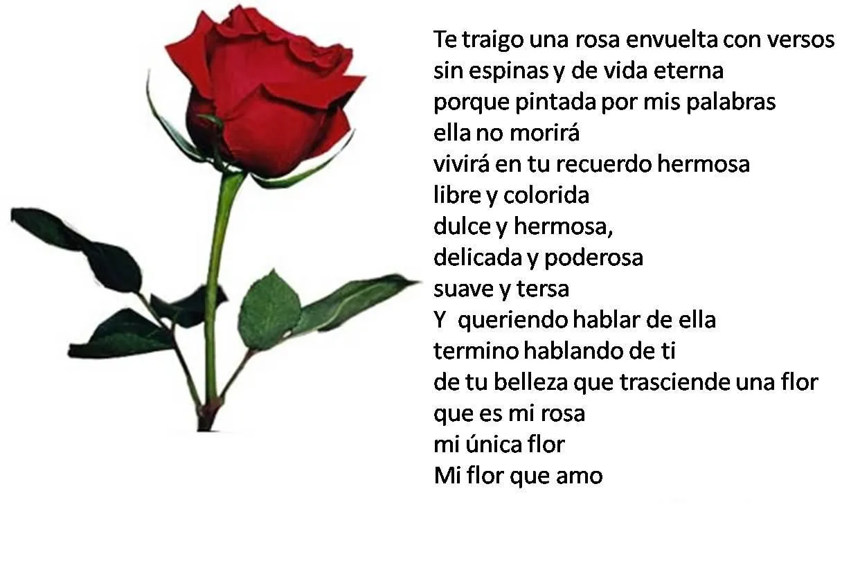 12 rosas blancas a la luna | POEMAS DE UN CARACOL