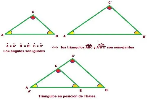 1.2. Triángulos semejantes | Contenidos