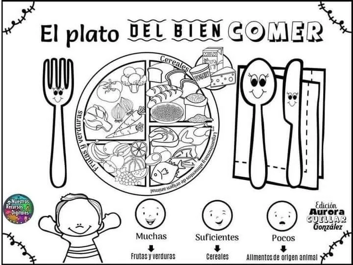 120 ideas de Plato del buen comer | plato del buen comer, alimentos  preescolar, actividades de nutrición