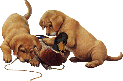 12/01/2013 - 01/01/2014 ~ Fundación Q´inti