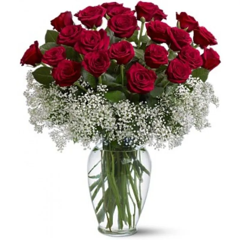 123Flores.com.mx - Ramo de 24 Rosas Rojas - Envio de flores a ...