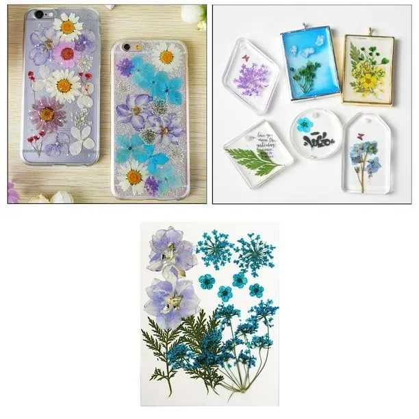 13 Piezas Secas Naturales, Adorno de Hojas Prensadas Reales para  Manualidades, Fabricación de Tarjetas de álbum de Recortes de Bricolaje,  Azul Gloria Flores secas prensadas naturales | Walmart en línea