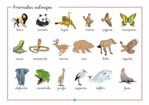 Animales Domesticos Y Salvajes En Ingles Y Espanol