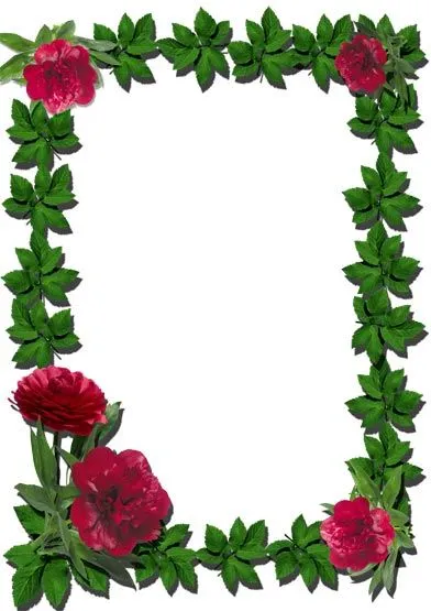 16 Png flower frames for photoshop – mirror