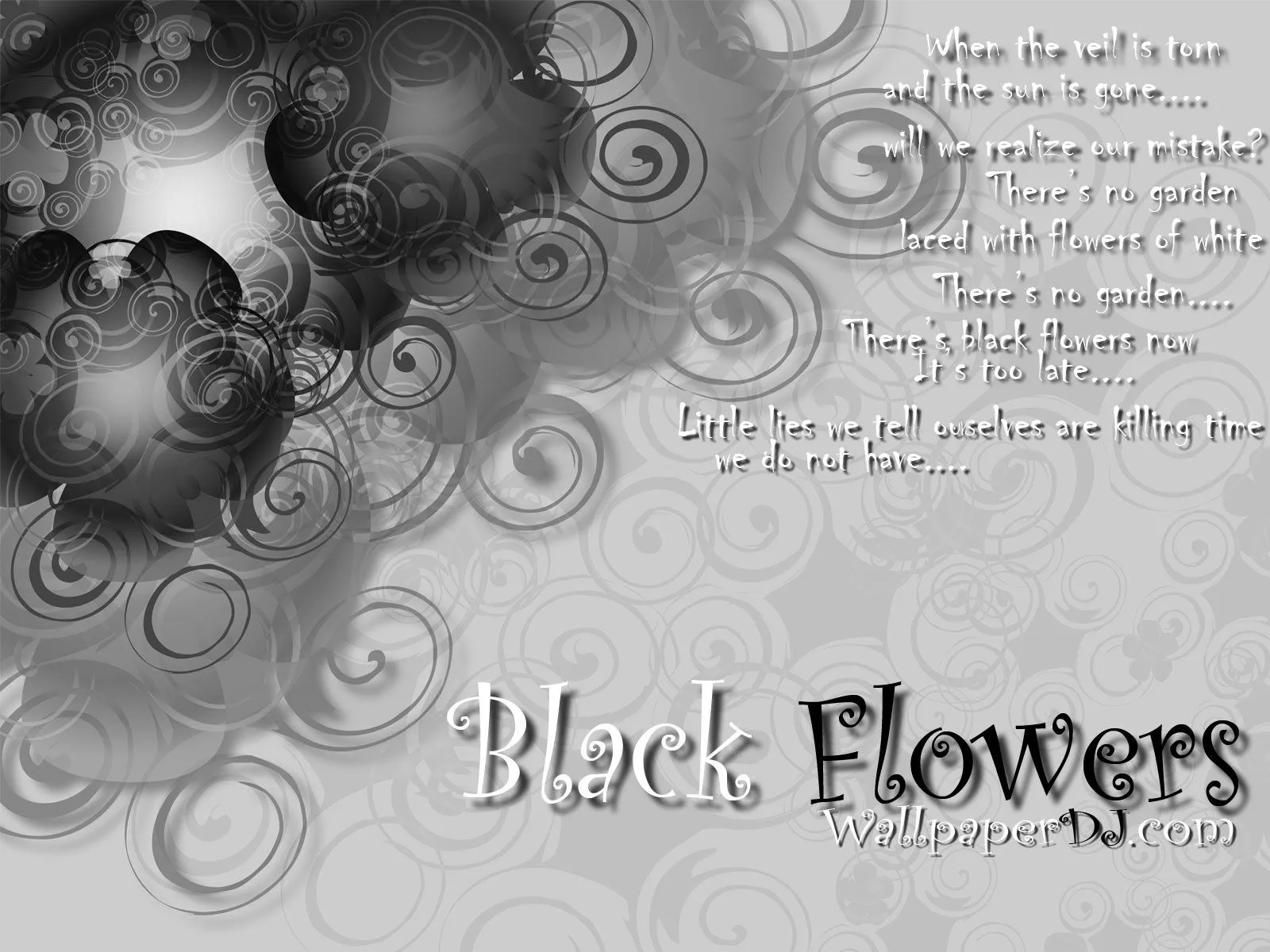 1600x1200 Black Flowers Lyrics hd and wide music wallpapers