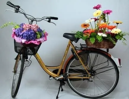 17 bästa bilder om BICICLETAS DECORADAS på Pinterest | Antigua ...