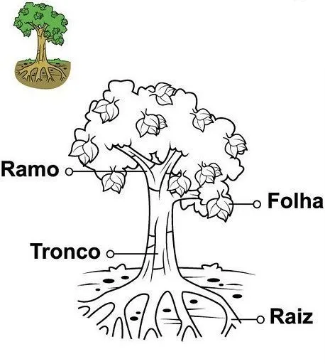 17 καλύτερα ιδέες για Dibujo De Un Arbol στο Pinterest | Basteln ...