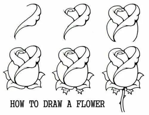 17 mejores ideas sobre Cómo Dibujar Una Rosa en Pinterest ...