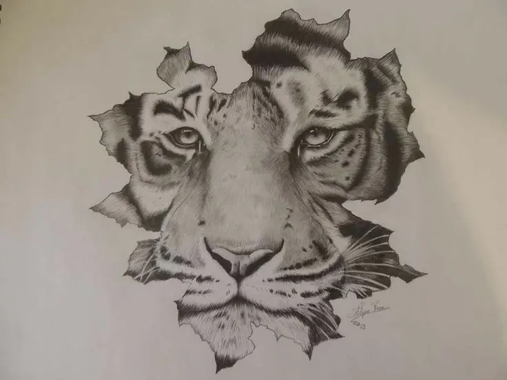 17 mejores ideas sobre Dibujo De Tigre en Pinterest | Dibujos de ...