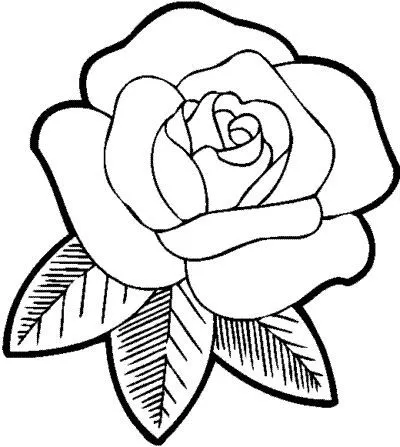 17 mejores ideas sobre Dibujos De Rosas en Pinterest | Técnicas de ...