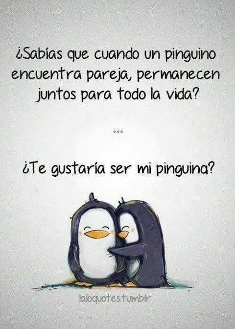 17 mejores ideas sobre Frases De Pingüinos en Pinterest ...
