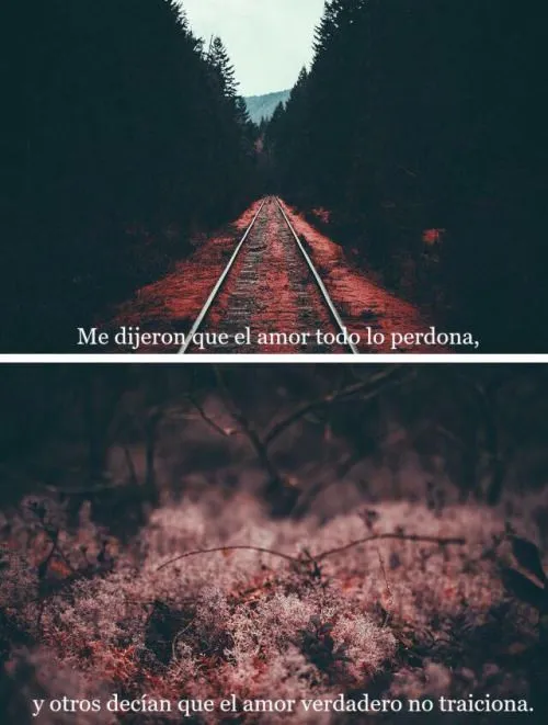 17 mejores ideas sobre Frases Tumblr en Pinterest | Frases de ...