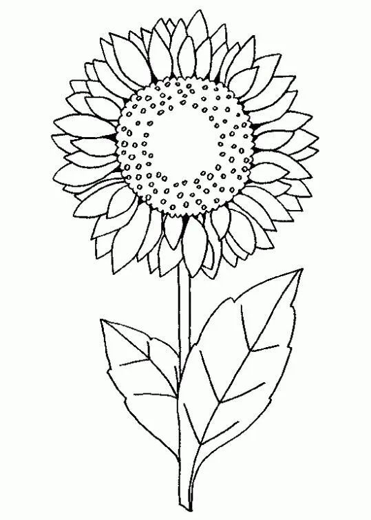 17 mejores ideas sobre Girasoles Dibujo en Pinterest | Pinturas ...