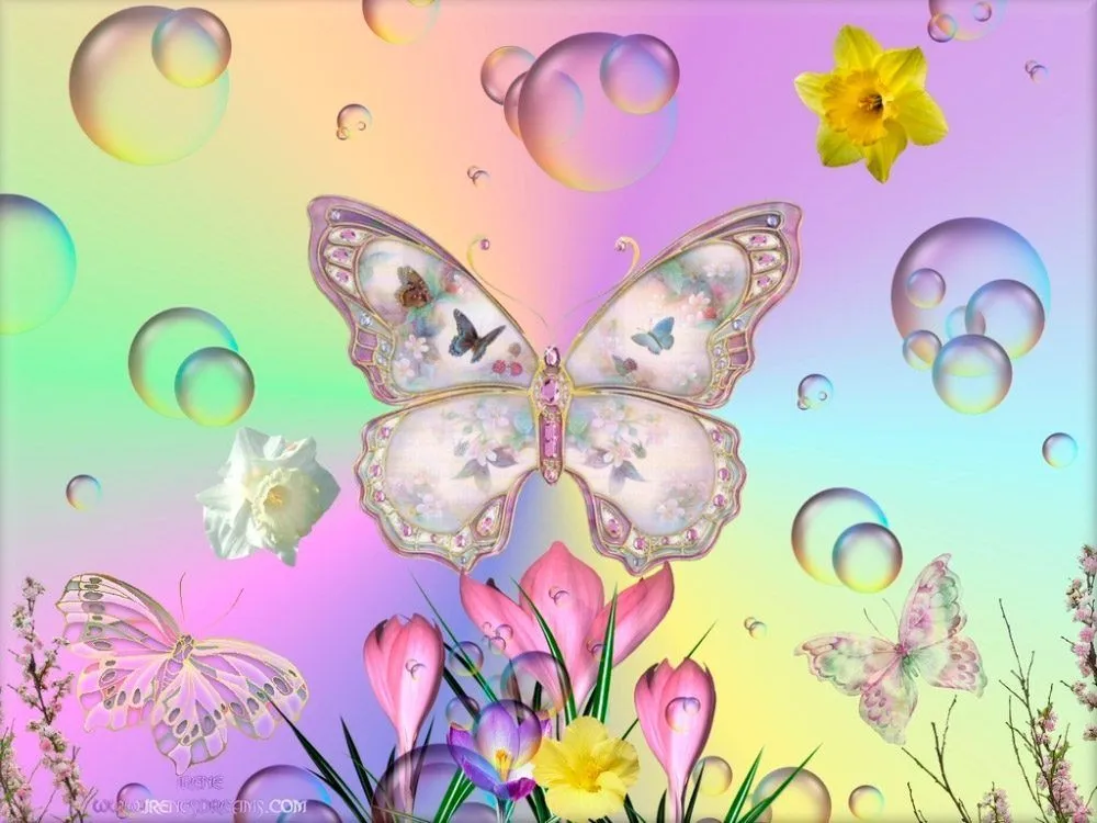 17 mejores ideas sobre Imagenes De Mariposas Bonitas en Pinterest ...