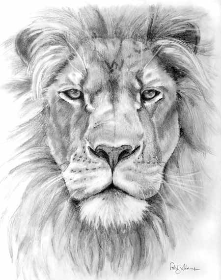 17 mejores ideas sobre Lion Drawing en Pinterest | Arte león ...