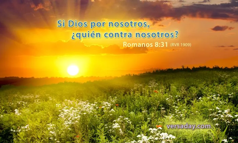 Romanos 8:31 - Versiculo para Octubre 14