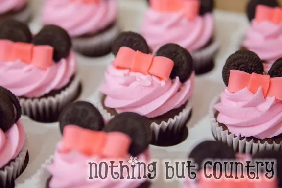 1st Birthday Minnie Party – cupcake & smash cake | Nothing But Country