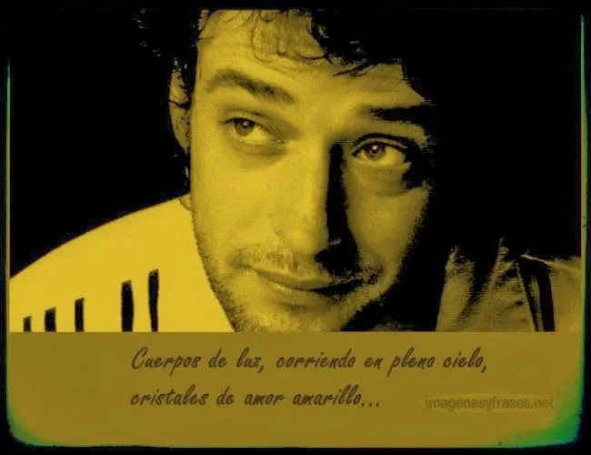 20 años de puro Amor Amarillo de Cerati | hazel bojorge reyes