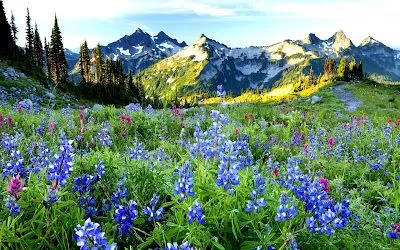 20 fotografías de paisajes para la portada de tu facebook