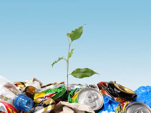 20 Frases sobre reciclaje - Conciencia Eco