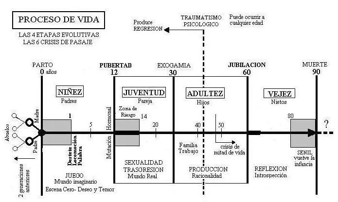 Proceso de vida | las 4 etapas evolutivas | las 6 crisis de pasaje ...