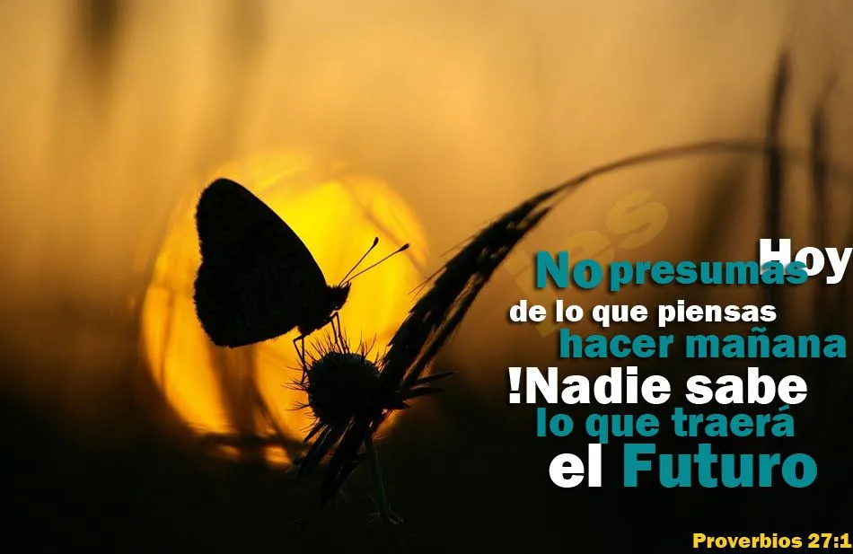  ... imagenes para facebook imagenes para regalar wallpapers wallpapers