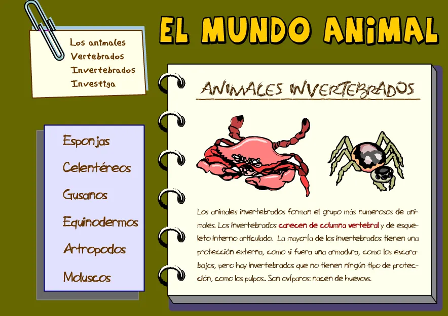 2.2-LOS ANIMALES: Invertebrados | Nuestro blog de 5º y 6º