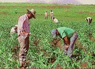 24 de Junio - Día del Campesino