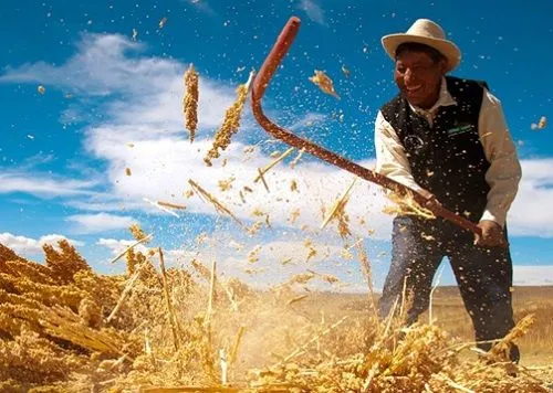 24 de junio - Día del Campesino