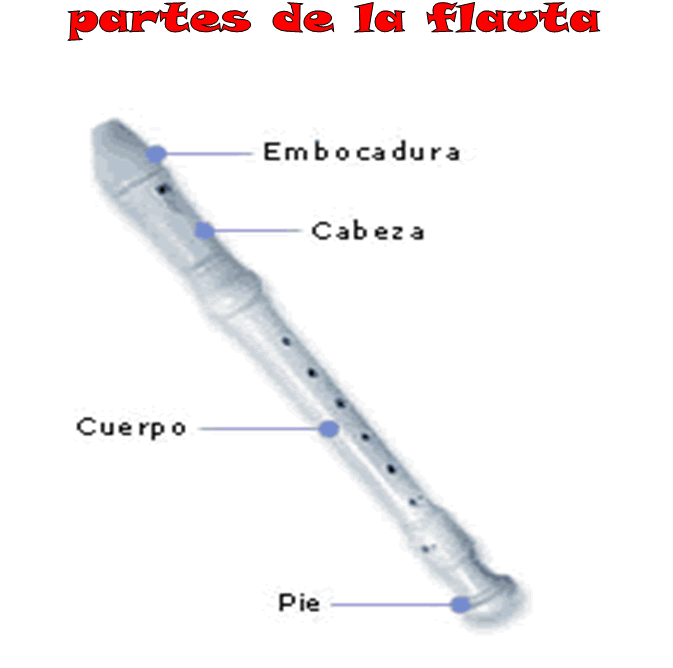 25.- Curso de Flauta | MENORAH ARTÍSTICA