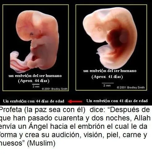 26 | agosto | 2010 | Islam en español