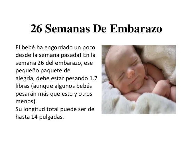 26 Semanas De Embarazo