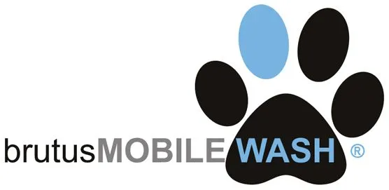 28 | noviembre | 2007 | Tech Sales Group