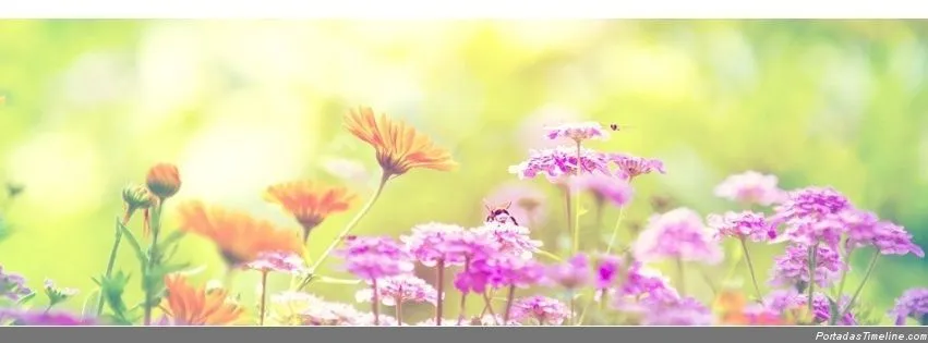 289656f6b510415265a8c757f52fb1 ...