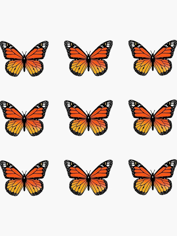 29 ideas de Mariposas para imprimir en 2023 | mariposas para imprimir,  mariposas, mariposa imprimible