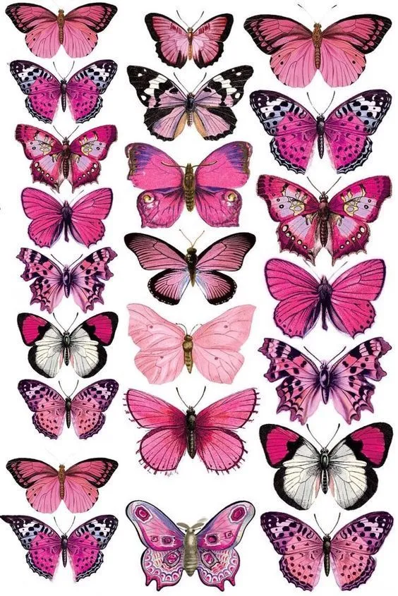 29 ideas de Mariposas para imprimir en 2023 | mariposas para imprimir,  mariposas, mariposa imprimible