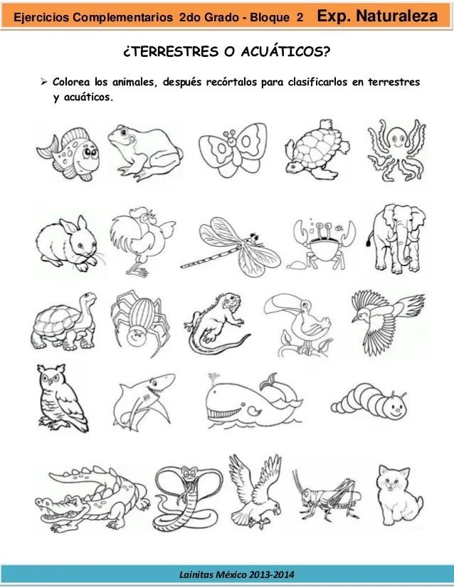 2do grado bloque 2 - ejercicios complementarios