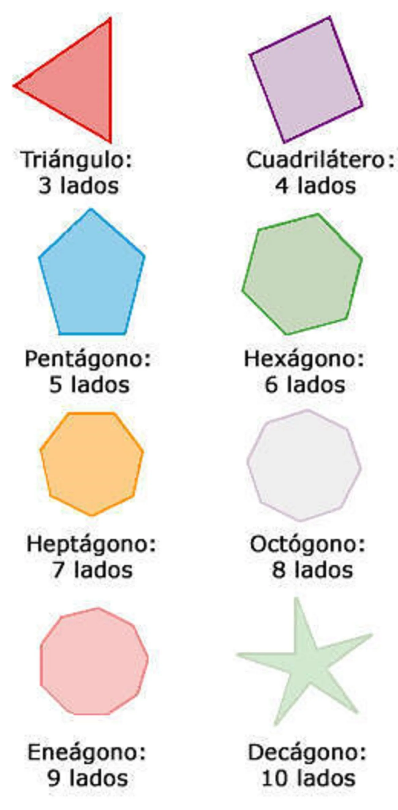 3.- Clasificación de los polígonos | mateschulisdenoekiwi