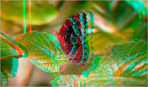 3-D Photo Printer Leaves a Lot to Be Desired - The New York Times