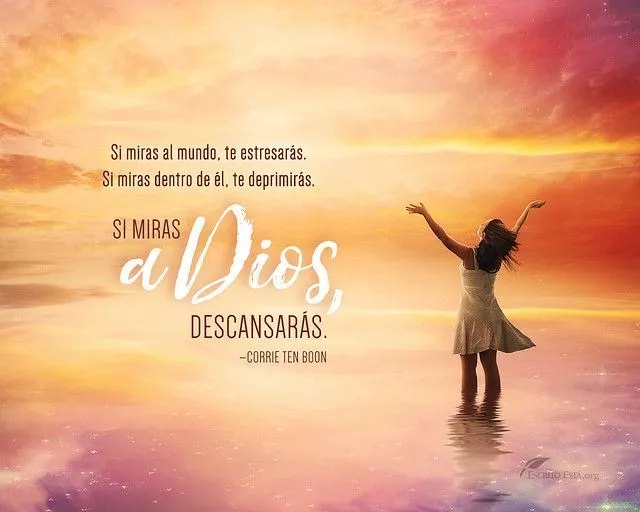 300 Imágenes bíblicas en HD para tu fondo de pantalla | Mensajes de  jesucristo, Agradecida con dios frases, Imágenes cristianas