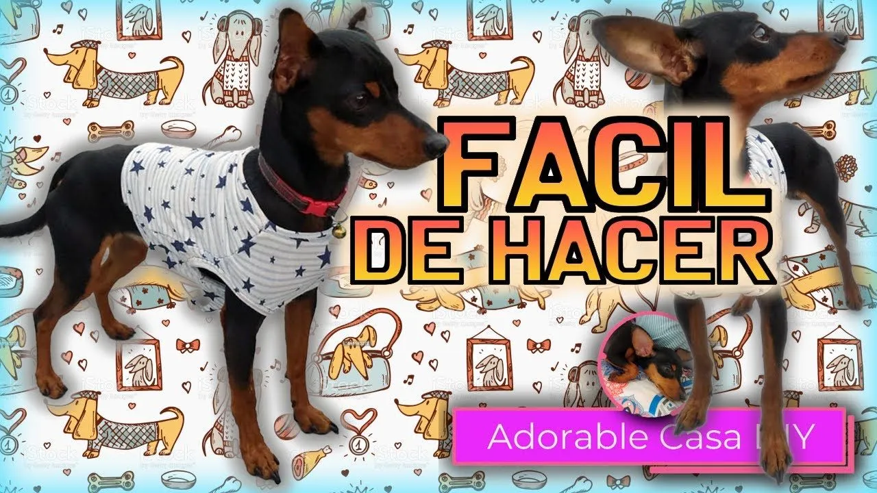 Molde para ropa de perro chihuahua