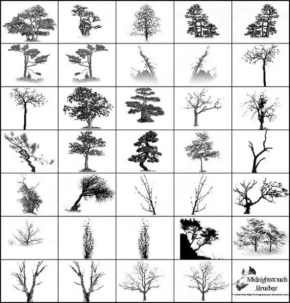 35 photoshop 7 árbol cepillo Photoshop Brushes para su descarga ...