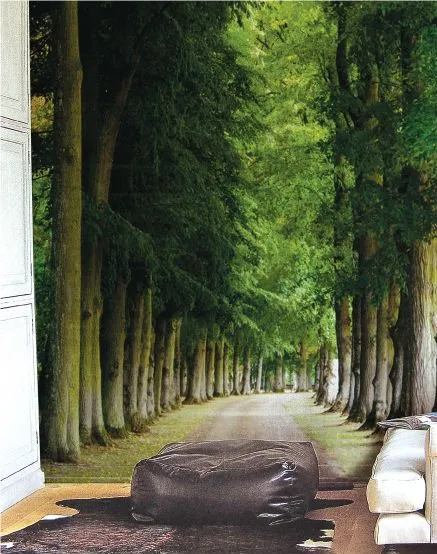 3D fondo de pantalla bosque-Fondos y Recubrimiento para muros ...