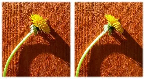 como ver 3D sin gafas (impresionante) - Taringa!