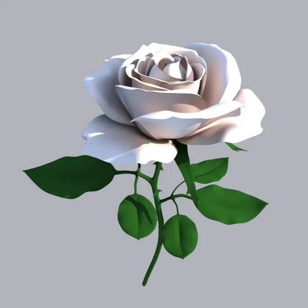 3d rose flower model