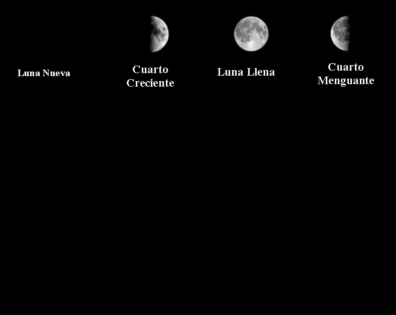 3er Grado Ciencias Naturales – Las fases de la luna