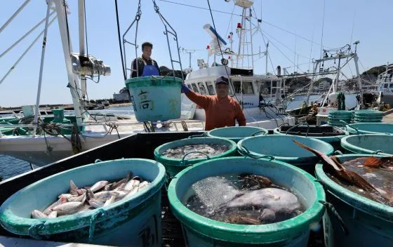 El 40% de los peces de la costa de Fukushima no son comestibles ...