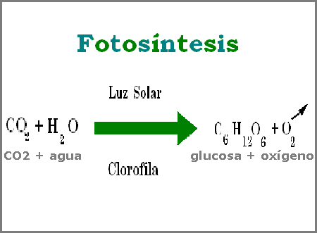 400 ppm de CO2. Lo que no te cuentan. - Desde el exilio