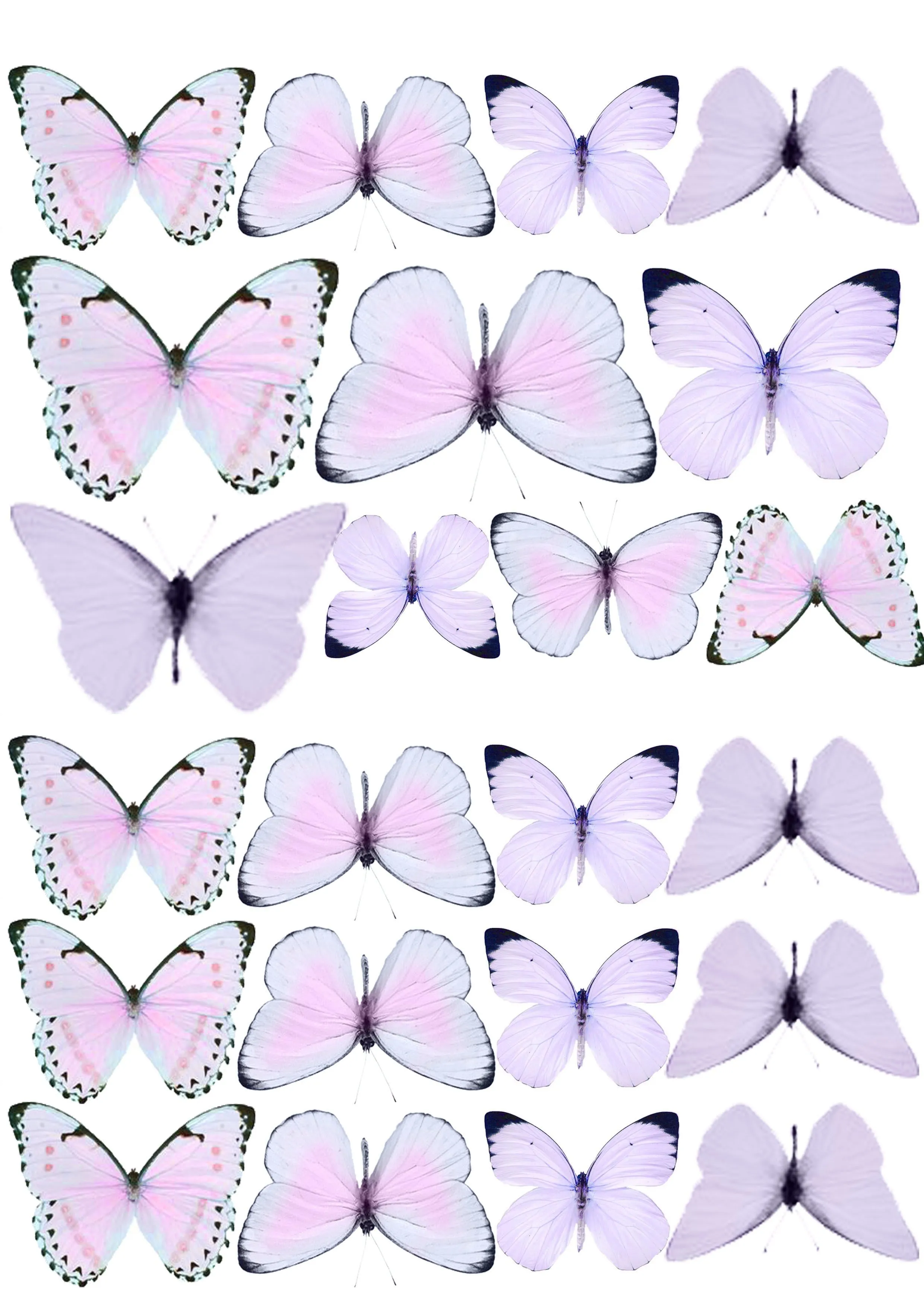 44 ideas de Mariposas para imprimir | mariposas para imprimir, imprimir  sobres, mariposa imprimible